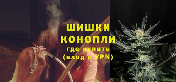прущие грибы Беломорск