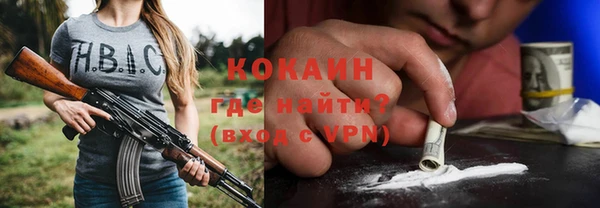 прущие грибы Беломорск