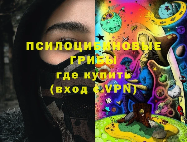 дурь Белокуриха