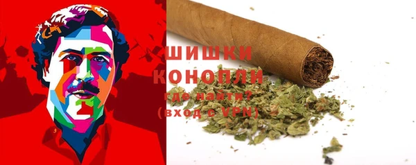 дурь Белокуриха