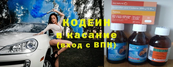 прущие грибы Беломорск