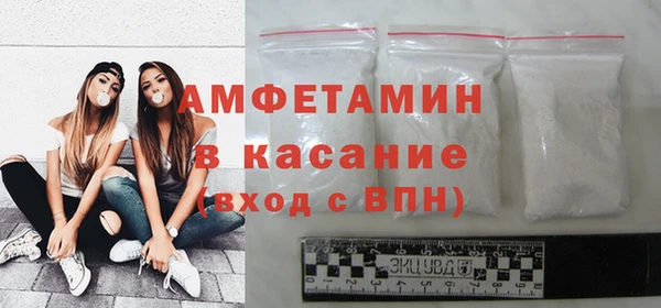 прущие грибы Беломорск